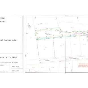 PLAN TOPO FOURNI PAR GEOMETRE